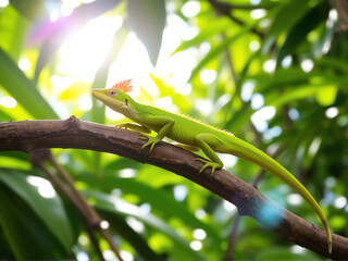 Wall Mural - vibrant green lizard perched on a branch surrounded by lush foliage under sunlight in a tropical set