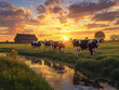 © Arif - Holstein Cows Grazing Near a Stream at Sunset in a Rural Landscape