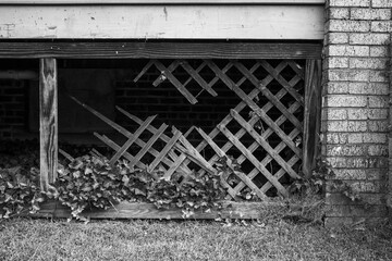 A weathered wooden lattice with splintered sections and creeping ivy, situated beneath a rustic brick structure on a quiet afternoon