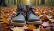 © Mityarko - Gum Sole Shoes Among Autumn Leaves