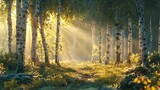 Morning in the birch grove with sun rays and fog