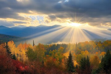 Poster - Sun rays breaking through clouds over an autumnal forest.