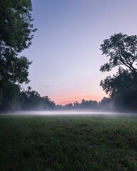 Wall Mural - Scenic sunset over a lush green meadow with a bright sky