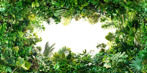 Poster - A lush green forest with a white background