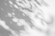 © Kwangmoozaa - Abstract natural tree leaves shadow on white wall background