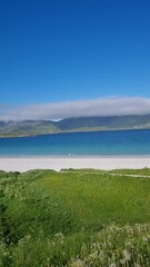 Wall Mural - discover a serene coastal landscape in norway, where soft waves lapping against a white sandy beach 