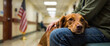 © El Melocoton - Therapy dog comforts veteran in VA hospital, emotional support