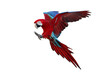© Passakorn - Colorful flying Green Wing Macaw parrot isolated on transparent background png file