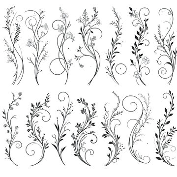 Elegant Swirling Vine Dividers