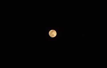 Wall Mural - yellow full moon covering by cloud floating on sky in night background