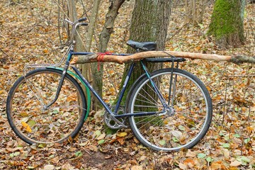 Wall Mural - one retro old black dirty broken two wheel iron with rusty chain and green fender painted industrial bicycle with a stick tiled to the frame stands near a tree in the forest