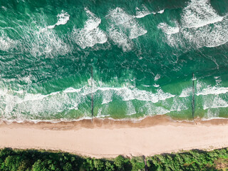 Wall Mural - Coastline at Baltic Sea in Rewal in summer.