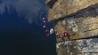 © IMPic - Delicate Orchids Blooming on Rugged Cliffside Over Dark Water