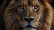 © ikk - Close-up portrait of a majestic lion with piercing amber eyes, looking directly at the viewer.