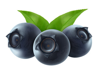 Wall Mural - ripe blueberry with leaf in macro closeup, isolated on white background. fresh ripe blueberries for 