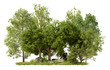 © angkhan - PNG tree group for fast drag and drop in main project, 3d illustration rendering