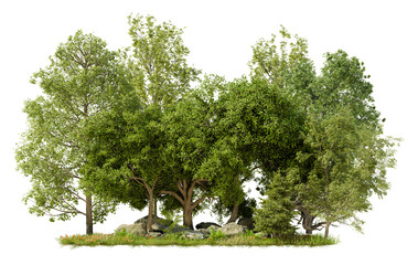 Poster - PNG tree group for fast drag and drop in main project, 3d illustration rendering