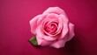 © Arthur - Luxurious Pink Rose on Elegant Deep Magenta Background for Valentine's Day. Perfect for Romantic Card Designs, Wedding Invitations, or Passionate Anniversary Celebrations February