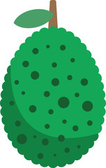 Poster - Green soursop fruit is shown growing on a branch with a leaf