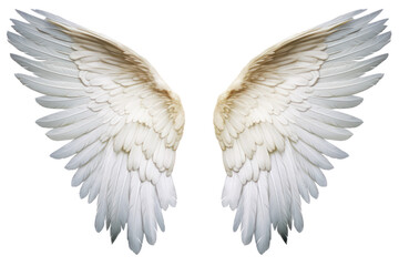 Symmetrical angel wings with a lifelike appearance, each feather meticulously detailed, isolated on white background