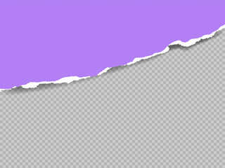 Poster - Horizontal Background with Torn purple paper Sheet. Ripped edge with shadow texture. Modern empty Template for Banner Poster Business Social media Design