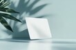 © Sergej Gerasimov - Minimalist mockup of a white credit card with leaf shadow on light blue background for branding