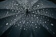 ©   - Rain-Kissed Shield: A close-up shot captures water droplets clinging to a dark umbrella, reflecting the subdued light of a rainy day.