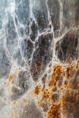 Poster - Close-up shot of a shiny marble surface