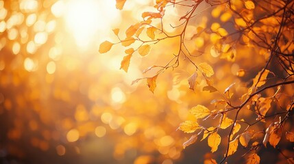 Wall Mural - Art autumn sunny nature background, capturing the essence of fall