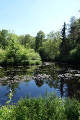 Wall Mural - See im Wald