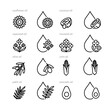 © Choor Vector - Cooking oil icon set - sunflower, coconut, palm, rapeseed, mustard, avocado, olive, corn oil. Linear illustration of various agriculture oilseeds crops and symbols of oil. Minimalist style, editable s