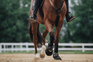 Wall Mural - Close-up of a rider practicing horsemanship on a horse at a ranch. Focus on the horse's legs and rider's boots.