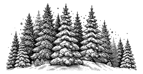 Wall Mural - snow covered fir trees engraving black and white outline