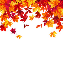 Wall Mural - Falling autumn leaves. Background frame with colorful autumn leaves. Greeting or invitation card design. Vector illustration