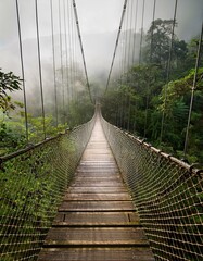 Wall Mural - A wooden suspension bridge stretches into a misty jungle.  A path less traveled awaits.