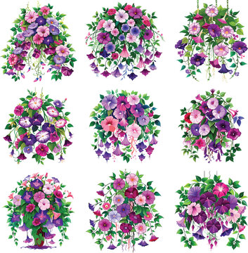 Wild Petunias Beautiful Flowers Watercolor Floral Vector Illustration.
