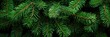 © ibtesam - Lush pine branches creating a rich green background, capturing the essence of Christmas and New Year holidays