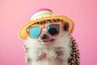 © milkyway - Spiky Hedgehog in Summer Party Mood Wearing Beach Hat  Tiny Sunglasses and Party Horn on Plain