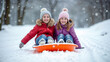 © mischenko - Children enjoy the joy of sledding down the hill, falling snowflakes and bright smiles.