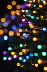 Wall Mural - christmas lights close up