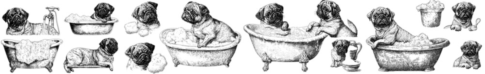 Wall Mural - A cartoon Pug dog bathing in the shower. Bubbles of foam soap in shower water. Funny puppy grooming, washing and cleaning animals illustrated concept.