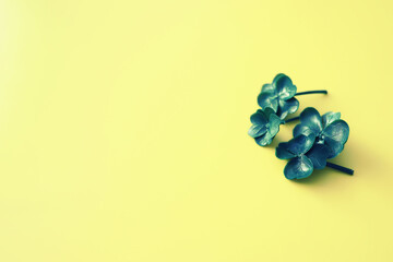 Wall Mural - St. patrick's day background. Four-leaf clover symbol of good luck. Religious Christian Irish celebration.