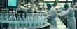 © Vendula - A close-up shot of milk bottles on the production line at an advanced plant, with workers in white lab coats monitoring and picking up glass bottles from packaging machines.