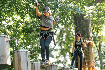 Wall Mural - two individuals confidently navigate a challenging treetop rope course while surrounded by lush, vib