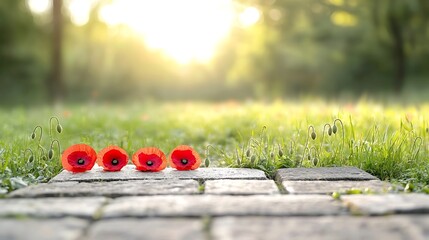 Aufkleber - Close up of red poppies placed on an ancient military grave with warm golden hour lighting shining on the scene symbolizing remembrance and honoring those who have served
