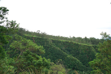 expanse of mountains with beautiful green trees