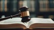 © siriporn - Close-up of a wooden gavel resting on an open constitution book, with text clearly visible on the pages.