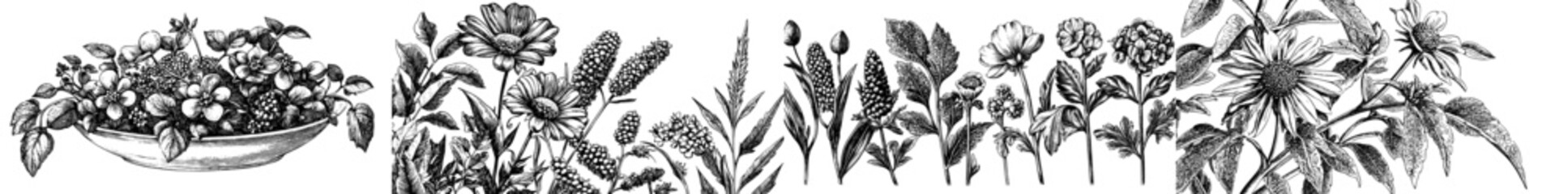  Naive doodle flower. Modern sketch illustration. Set of hand-drawn botanical icons. Captivating wildflowers and plants in charcoal crayon drawing style.