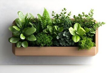 Poster - Handcrafted Wooden Planter Box Overflowing with a Diverse Array of Lush Flourishing Houseplants against a Clean Pure White Backdrop with Soft