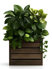 Poster - Wooden planter box filled with thriving green houseplants trailing vines and vibrant foliage set against a bright clean white background with natural lighting showcasing a minimalist botanical style